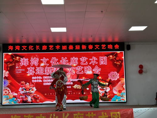 市文促會海灣文化長廊藝術(shù)團舉辦喜迎新春文藝晚會